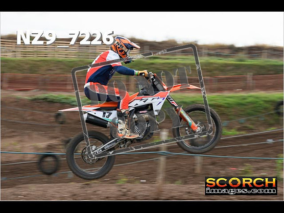 IntersGreen-029