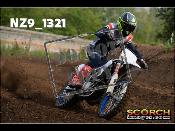Experts-029