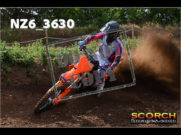 Experts-056