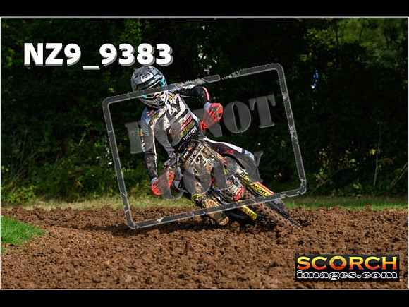 Experts-051