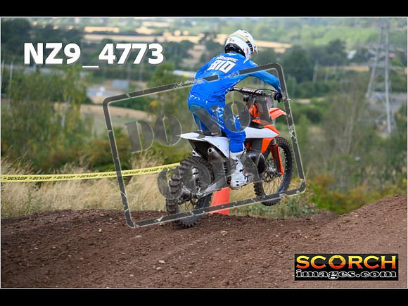 Experts-155