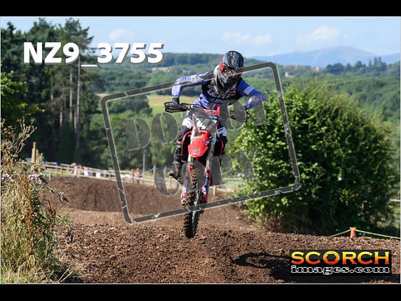 Experts-117