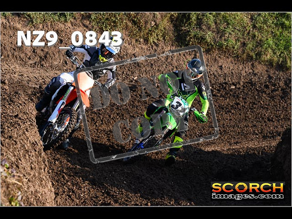 Experts-058
