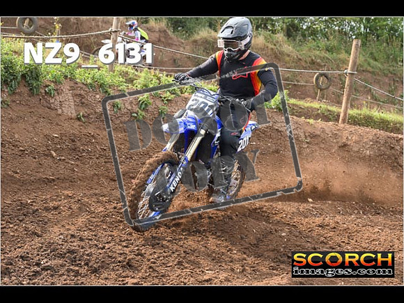 Experts-046