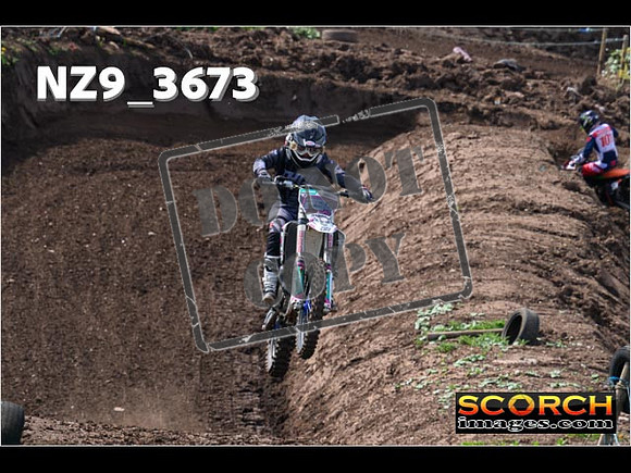 Experts-119
