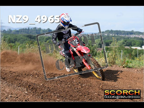 Experts-045
