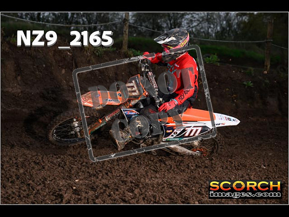 Experts-170