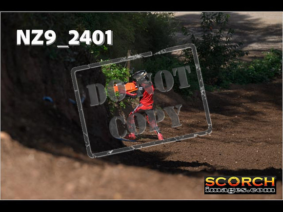 Experts-058