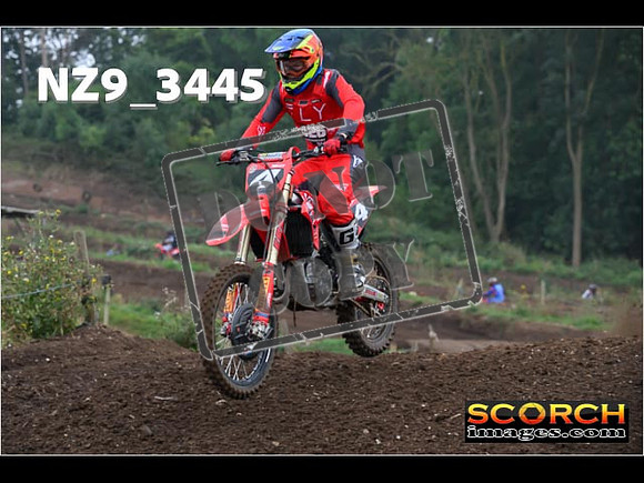Experts-102