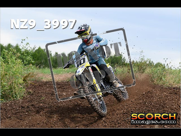 Experts-104