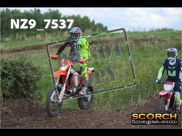 IntersGreenOrange-025