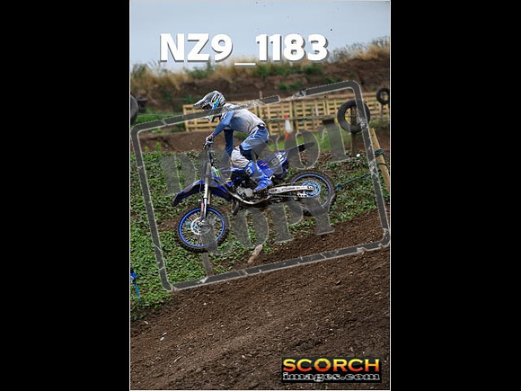 Experts-121