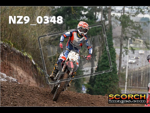 IntersGreenOrange-063