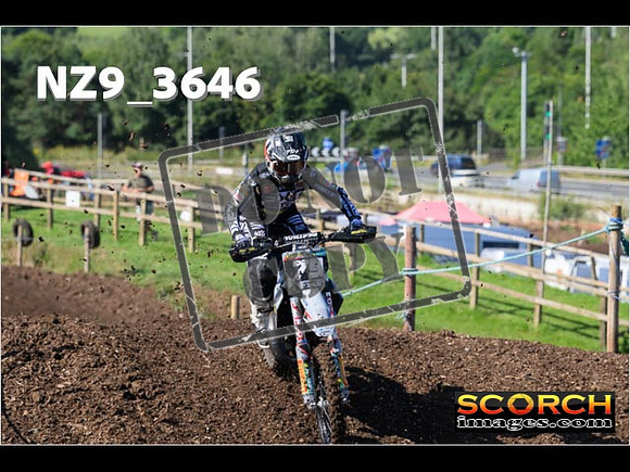Experts-013