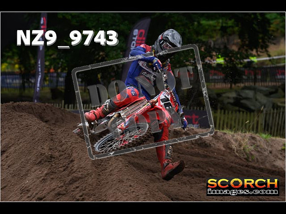 MX1-295