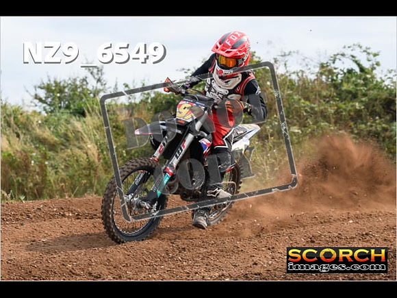 Experts-258