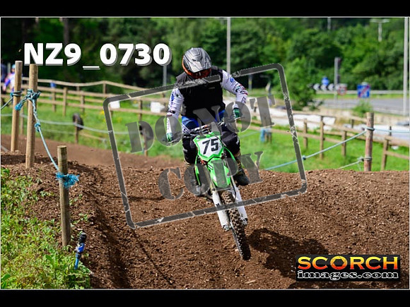 Experts-055