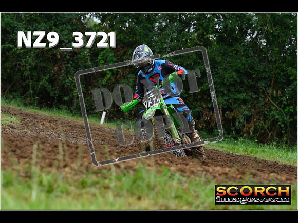 Experts-041
