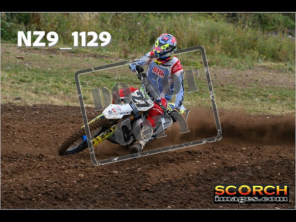 Experts-079