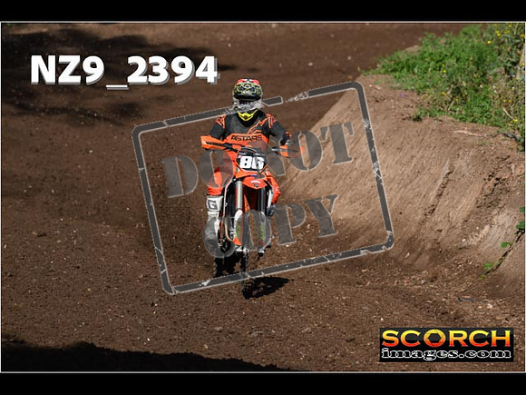 Experts-051