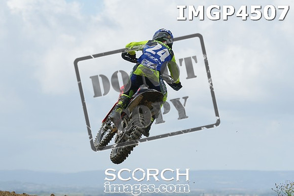 IMGP4507