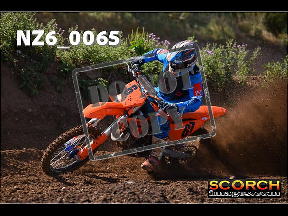 Experts-061