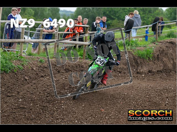 Experts-298
