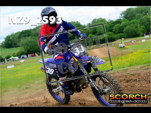 Experts-091