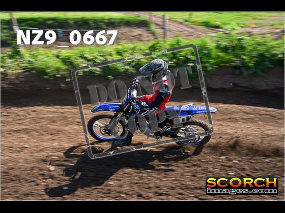 Experts-074