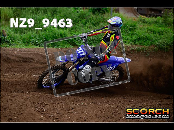 Experts-065