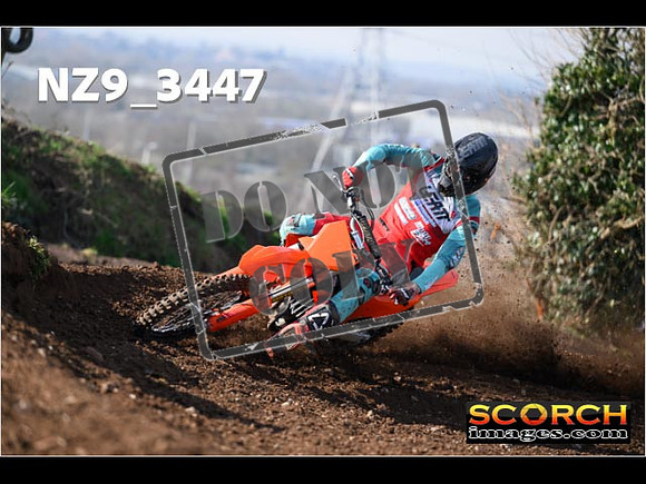 Experts-130