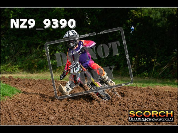 Experts-058