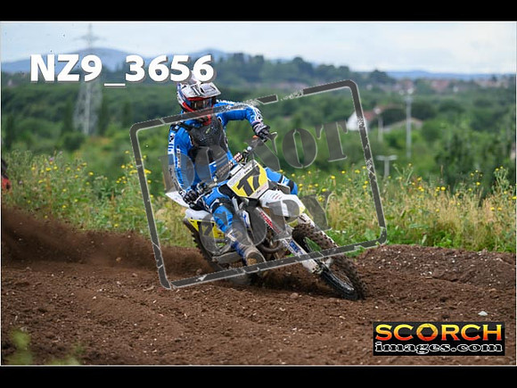 Experts-064