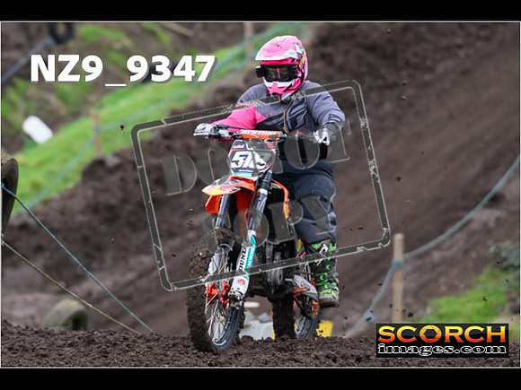 Intermediates-161