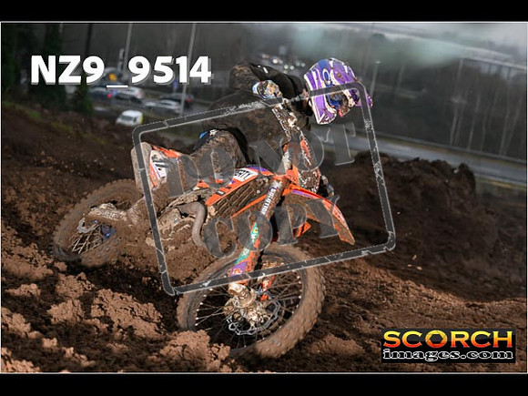 Experts-137