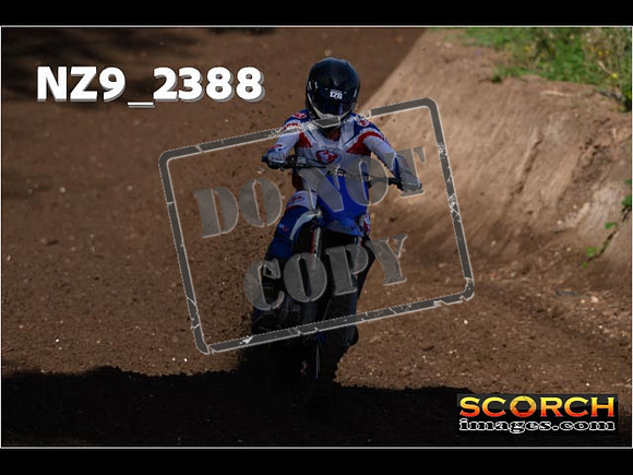 Experts-045