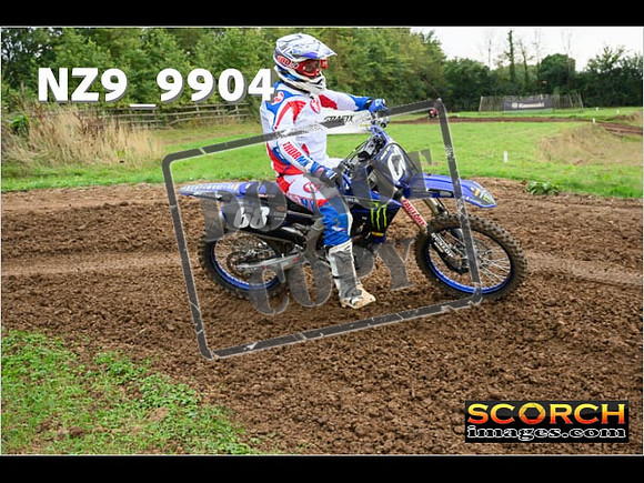 Experts-129