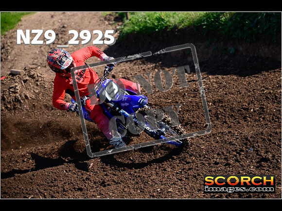 Experts-097