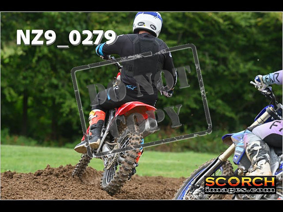 Novice-253