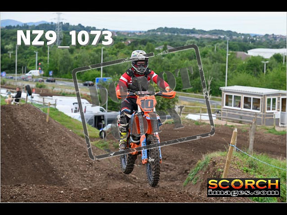 IntersGreen-088