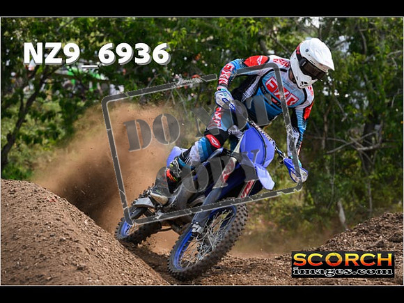 Experts-334