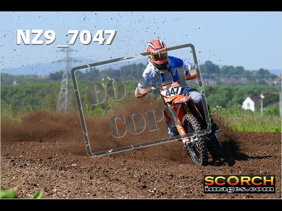 Experts-032