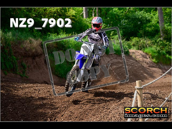 IntersGreenOrange-103