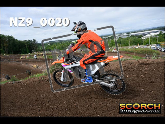 Inters GreenOrange-030