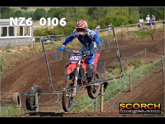 Experts-102