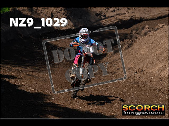 Experts-107