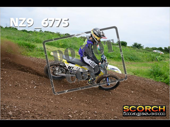 Experts-376