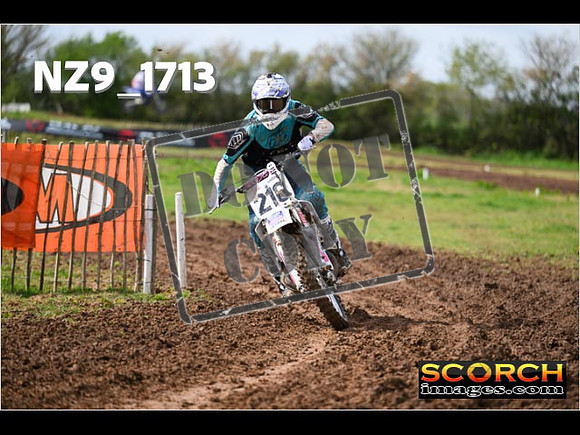 Experts-054