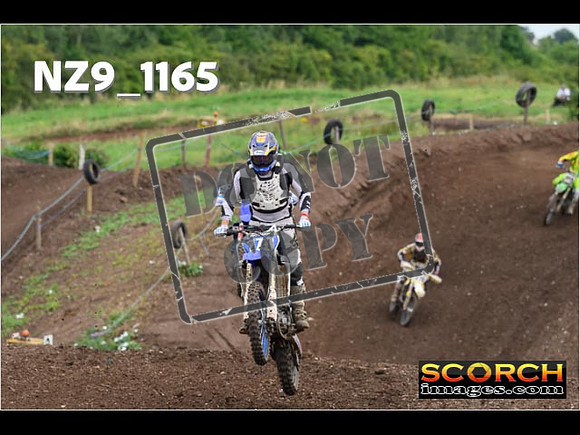 Experts-114