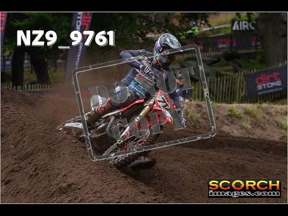 MX1-313